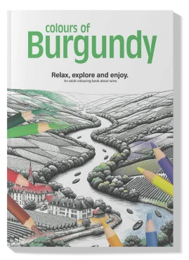 Colors of Burgundy book cover