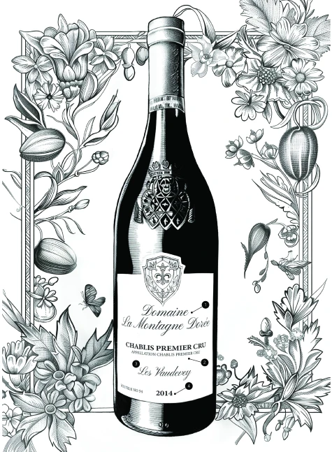 Wine bottle illustration